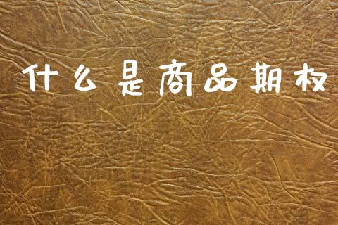 什么是商品期权_https://cj006.lansai.wang_债券资讯_第1张