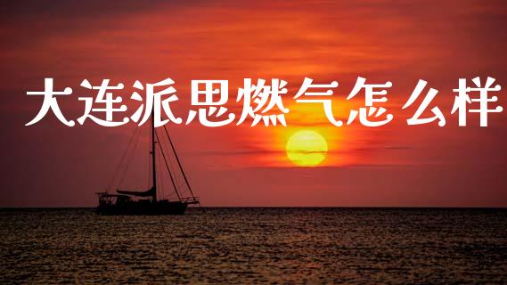 大连派思燃气怎么样_https://cj006.lansai.wang_债券资讯_第1张