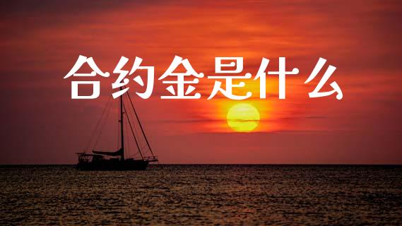 合约金是什么_https://cj006.lansai.wang_外汇交易_第1张