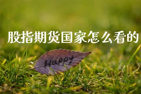 股指期货国家怎么看的_https://cj006.lansai.wang_金融监管_第1张