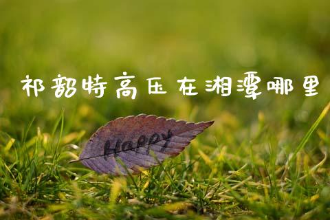 祁韶特高压在湘潭哪里_https://cj006.lansai.wang_外汇交易_第1张