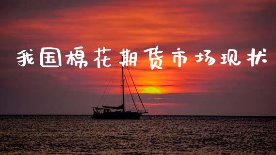 我国棉花期货市场现状_https://cj006.lansai.wang_全球市场_第1张