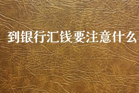 到银行汇钱要注意什么_https://cj006.lansai.wang_期货开户_第1张