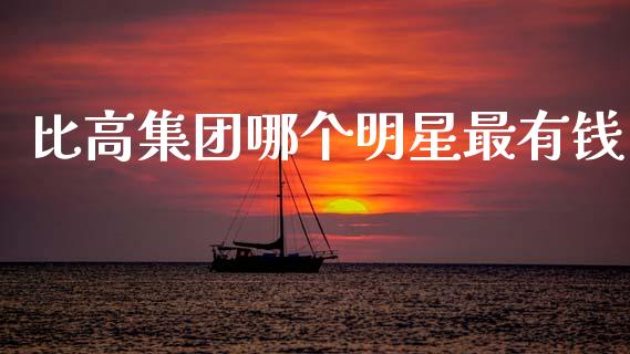 比高集团哪个明星最有钱_https://cj006.lansai.wang_金融监管_第1张