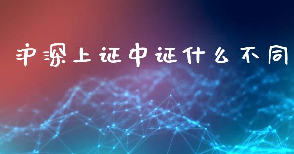 沪深上证中证什么不同_https://cj006.lansai.wang_外汇交易_第1张