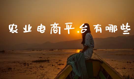 农业电商平台有哪些_https://cj006.lansai.wang_财经新闻_第1张