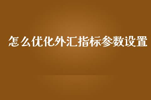 怎么优化外汇指标参数设置_https://cj006.lansai.wang_债券资讯_第1张