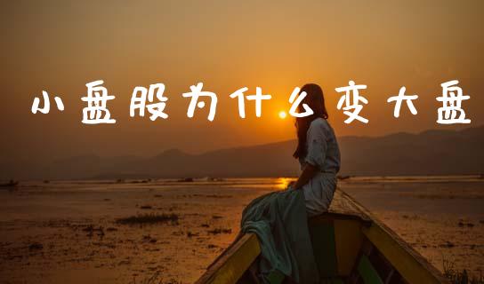 小盘股为什么变大盘_https://cj006.lansai.wang_期货开户_第1张