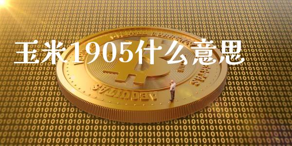 玉米1905什么意思_https://cj006.lansai.wang_期货开户_第1张