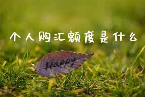 个人购汇额度是什么_https://cj006.lansai.wang_金融监管_第1张