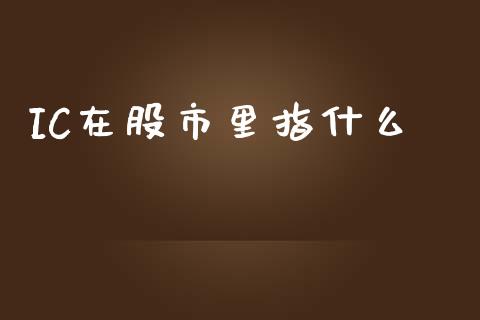 IC在股市里指什么_https://cj006.lansai.wang_外汇交易_第1张