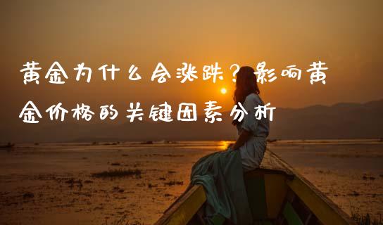 黄金为什么会涨跌？影响黄金价格的关键因素分析_https://cj006.lansai.wang_期货开户_第1张