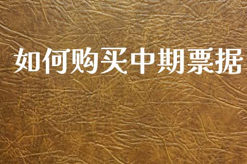 如何购买中期票据_https://cj006.lansai.wang_外汇交易_第1张