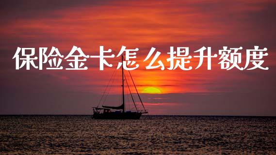 保险金卡怎么提升额度_https://cj006.lansai.wang_外汇交易_第1张