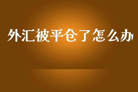外汇被平仓了怎么办_https://cj006.lansai.wang_全球市场_第1张
