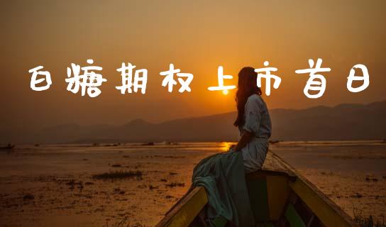 白糖期权上市首日_https://cj006.lansai.wang_财经新闻_第1张