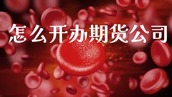 怎么开办期货公司_https://cj006.lansai.wang_外汇交易_第1张