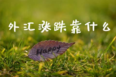 外汇涨跌靠什么_https://cj006.lansai.wang_期货开户_第1张