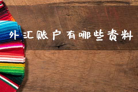 外汇账户有哪些资料_https://cj006.lansai.wang_财经新闻_第1张