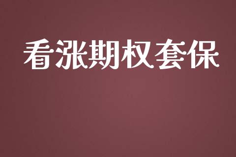 看涨期权套保_https://cj006.lansai.wang_期货开户_第1张