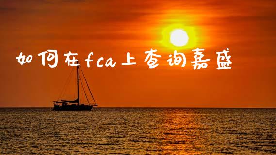 如何在fca上查询嘉盛_https://cj006.lansai.wang_全球市场_第1张