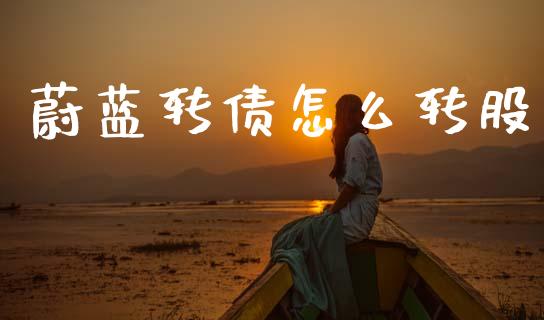 蔚蓝转债怎么转股_https://cj006.lansai.wang_期货开户_第1张