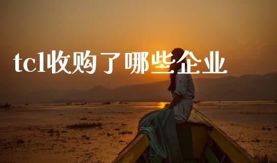 tcl收购了哪些企业_https://cj006.lansai.wang_全球市场_第1张