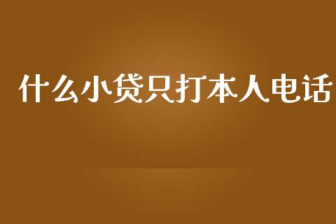 什么小贷只打本人电话_https://cj006.lansai.wang_债券资讯_第1张
