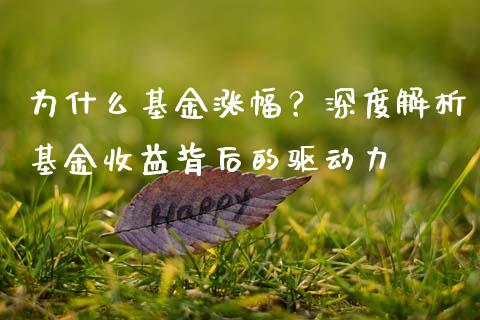 为什么基金涨幅？深度解析基金收益背后的驱动力_https://cj006.lansai.wang_期货开户_第1张