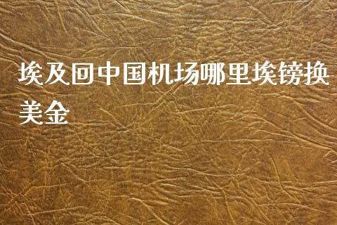 埃及回中国机场哪里埃镑换美金_https://cj006.lansai.wang_期货开户_第1张