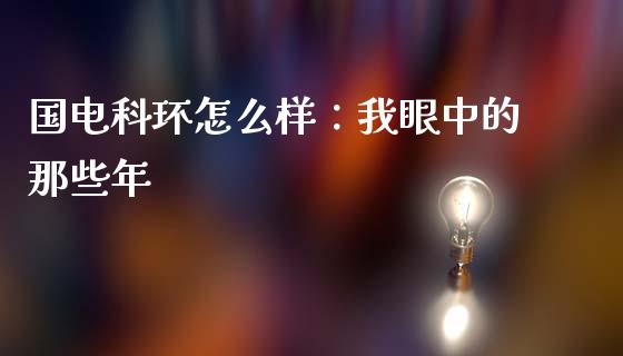 国电科环怎么样：我眼中的那些年_https://cj006.lansai.wang_金融监管_第1张