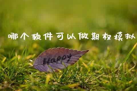 哪个软件可以做期权模拟_https://cj006.lansai.wang_财经新闻_第1张