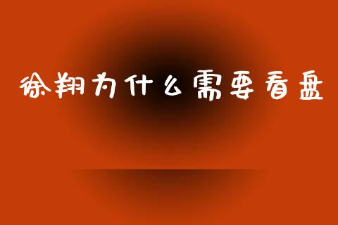 徐翔为什么需要看盘_https://cj006.lansai.wang_债券资讯_第1张