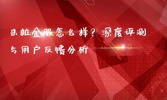 米粒金服怎么样？深度评测与用户反馈分析_https://cj006.lansai.wang_期货开户_第1张