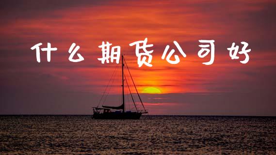 什么期货公司好_https://cj006.lansai.wang_债券资讯_第1张
