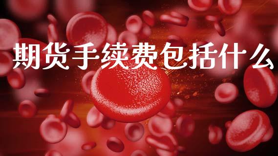 期货手续费包括什么_https://cj006.lansai.wang_财经新闻_第1张