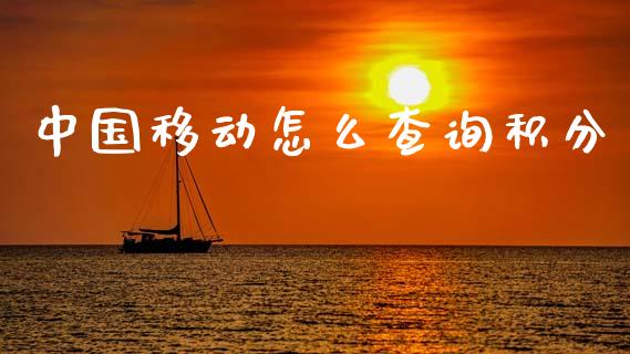 中国移动怎么查询积分_https://cj006.lansai.wang_财经新闻_第1张