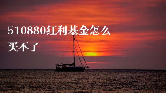 510880红利基金怎么买不了_https://cj006.lansai.wang_期货开户_第1张