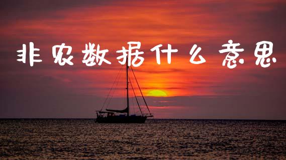 非农数据什么意思_https://cj006.lansai.wang_金融监管_第1张