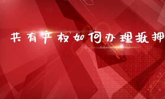 共有产权如何办理抵押_https://cj006.lansai.wang_全球市场_第1张