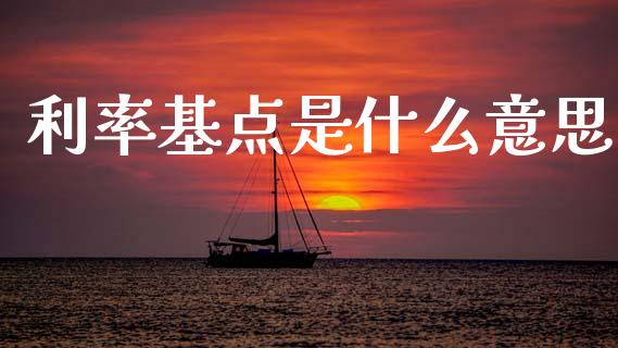 利率基点是什么意思_https://cj006.lansai.wang_外汇交易_第1张