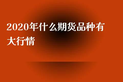 2020年什么期货品种有大行情_https://cj006.lansai.wang_财经新闻_第1张