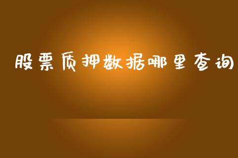 股票质押数据哪里查询_https://cj006.lansai.wang_期货开户_第1张