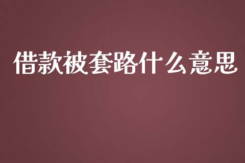 借款被套路什么意思_https://cj006.lansai.wang_债券资讯_第1张