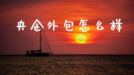 央企外包怎么样_https://cj006.lansai.wang_金融监管_第1张