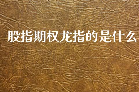 股指期权龙指的是什么_https://cj006.lansai.wang_期货开户_第1张