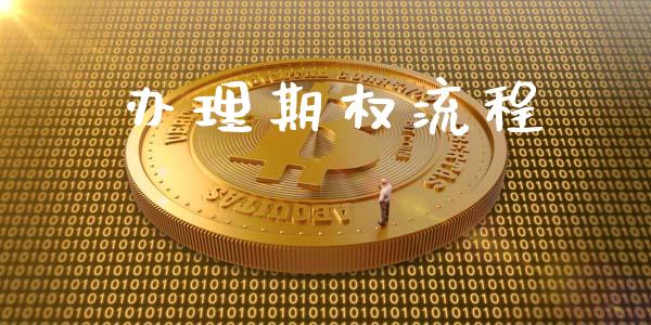 办理期权流程_https://cj006.lansai.wang_债券资讯_第1张