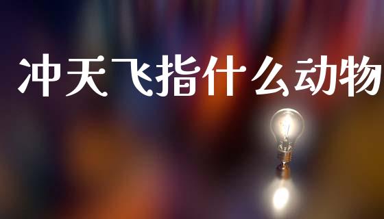 冲天飞指什么动物_https://cj006.lansai.wang_期货开户_第1张