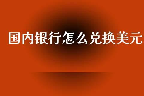 国内银行怎么兑换美元_https://cj006.lansai.wang_外汇交易_第1张