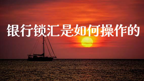 银行锁汇是如何操作的_https://cj006.lansai.wang_外汇交易_第1张